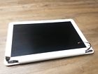 45020j0qfyn Apple Screen Macbook Late