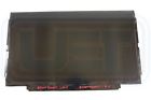 B125xtn01.0 822215-001 - Hw 3a Fw1 Hp Hd Led Sva Antiglare Display Panel