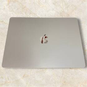 A3114 Apple 639371533369 Oem Macbook Air 15 Inch A2941 M Lcd Display Screen Replacement Gold A Grade
