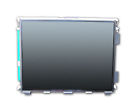 Cf-19 Mk4 Panasonic Toughbook Screen