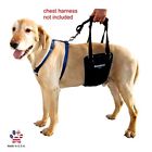 Gl-lm Gingerlead Dog Support Rehabilitation Harness With Stay On 854895004007