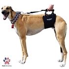 Gl-tm Gingerlead Dog Support Rehabilitation Harness With Stay On 854895004052