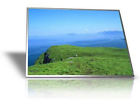 Hsd100ifw1-a00 Hannstar Lcd Screen Led Tested
