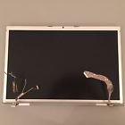 Macbook Lcd Pro A1261 Panel Screen Grade Display Apple " 17