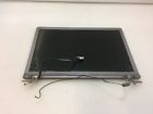 Pcg-6f1l Sony Oem Vaio Series Lcd Screen Full Assembly