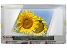 Vpceg1bfx Tech-a25921980 Sony Manufacture Vaio Laptop Led Lcd Screen Wxga Hd Bottom