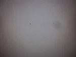 Dell Latitude D600 Inspiron 1150 600M Flawed Lcd Screen Panel 6J564 Xga 205. Fixed Price $5.00.