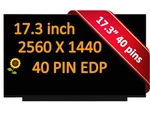 17.3" 165HZ Qhd Led Lcd Screen Display Hp Omen 17-CK1020NR 17-CK0008CA. Fixed Price $126.04.
