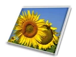 New 14" Laptop Slim Led Lcd Screen For Dell Alienware M14X (06HH82). Fixed Price $121.29.