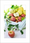 Nw Pitney Ink Apple Box Inspirational Greeting Card, 5 7 Inches. Fixed Price $7.95.