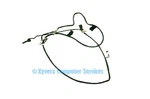 14011-01630700 Genuine Asus Sensor Camera Cable Q524U Series (CE74). Fixed Price $35.68.