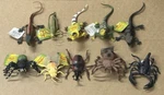Boley Nature World Insect Reptile Bug Toy Figures Scorpion Spider Ant Lot X (10). Fixed Price $52.00.