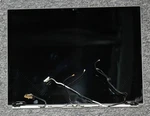 Genuine Google Chromebook Pixel CB001 Lte 13" Lcd Touch Screen Assembly. Fixed Price $63.74.