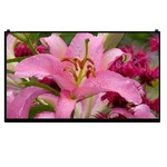 LP160WQ1-SPA1 LP160WQ1(SP)(A1) 16" Wqxga Ips Edp Lcd Screen Panel Matrix Display. Fixed Price $109.00.
