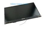 Oem Asus Lcd Display 15.6 Hd Assembly Vivobook F1500EA-WB51 (A)(AC85). Fixed Price $151.96.
