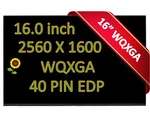 New 16" Wqxga Laptop Lcd Led Screen For Oem Lenovo SD11J19517 Display. Fixed Price $167.70.