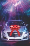 30" Giant Car Bow Handmade Usa Magnetic Back Gift Christmas Birthday Vehicle. Fixed Price $49.00.