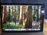 Apple Macbook Pro A1990 15" I7 2.6GHZ 2019 16GB 256GB Lighter Screen Spot Read. Fixed Price $199.95.