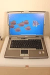 Dell D810 (latitude) - Components. Fixed Price $9.99.