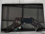 Dell Alienware M15 R5 R6 Laptop Lcd 5M6PH. Fixed Price $197.00.