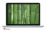 Apple Macbook Pro 13.3" Core I5 2.4GHZ 4GB Ram 128GB Ssd Retina Display/warranty. Fixed Price $209.79.