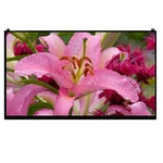 15.6 Inch Fhd Lcd Led Screen Display Replacement For Lg 15Z960 15Z970 15Z980. Fixed Price $129.00.