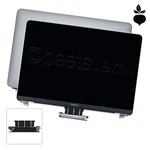 Gr Silver Lcd Display Assembly - Macbook 12" Retina A1534 2015, 2016, 2017. Fixed Price $209.90.