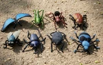 Wild Republic Insect Collection 8 Pcs. - Nature Bugs Toy Figurines. Fixed Price $5.99.