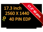 240HZ Display For Asus Rog Strix G17 G713PV-WS94 17.3" Wqhd Lcd Screen. Fixed Price $129.00.