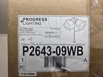 New Progress Lighting Ceiling Fan Kit & Globes, Brushed Nickel, P2643-09WB. Fixed Price $34.99.