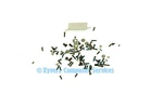 VGN-FW33G Genuine Original Sony Screw Kit All Sizes Included (grd A). Fixed Price $7.56.